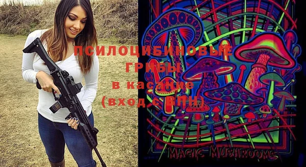 мяу мяу мука Медногорск
