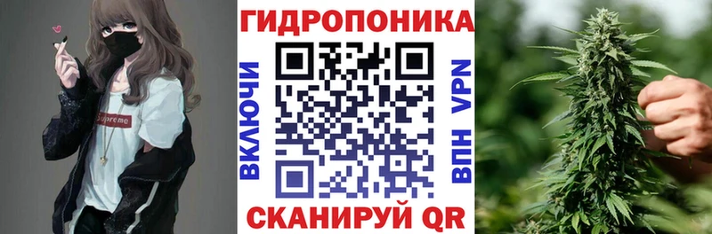 Бошки марихуана планчик  Невель 